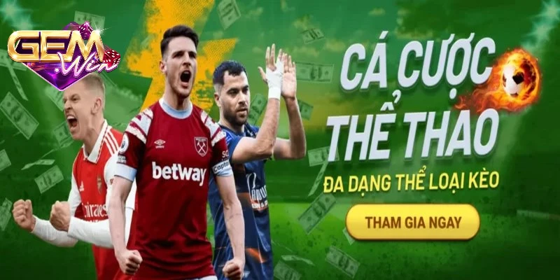 the-thao-gemwin-co-van