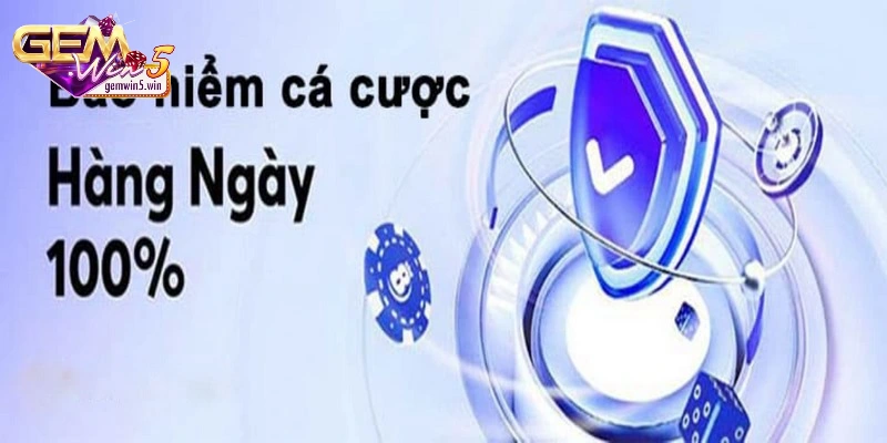 bao-hiem-ca-cuoc-giam-rui-ro