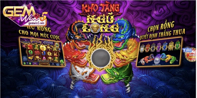 kho-tang-ngu-long-thong-tin-chi-tiet