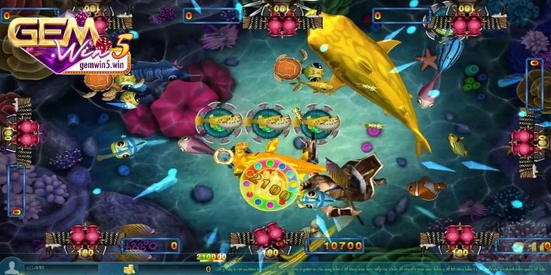 may-ban-ca-cac-phien-ban